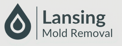 Lansing Mold Removal